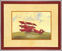 CR04005 Triplane