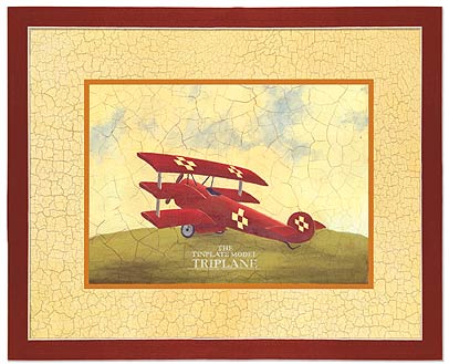 CR04005 Triplane