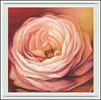 CR07025 Rose