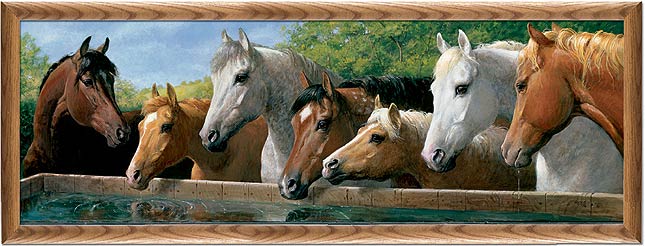CR08065 Companions (Horses)