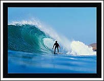 CR21588 Big Kahuna