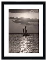 CR21592 Ocean Cruise