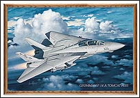 CR82012 Grumman F - 14 A Tomcat