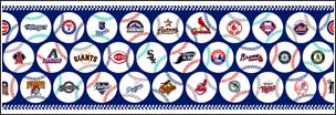 BM595245 Grand Slam - MLB Border