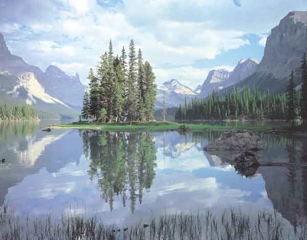 1802 Reflections Wall Mural