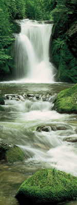 2-1047 Waterfall Door Mural