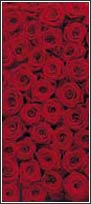 2-1077 Roses Door Mural
