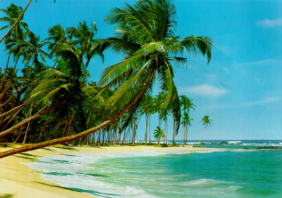 220 South Sea Wall Mural 1