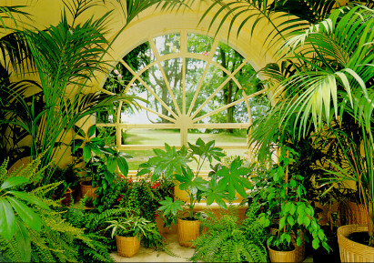 231 Winter Garden Wall Mural 1