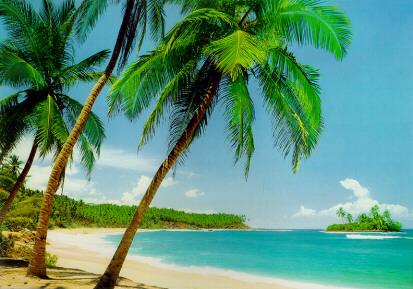 241 Ile Tropicale Wall Mural