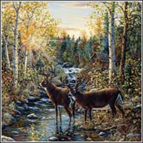 252-72024 Wild Deer Wall Mural 1
