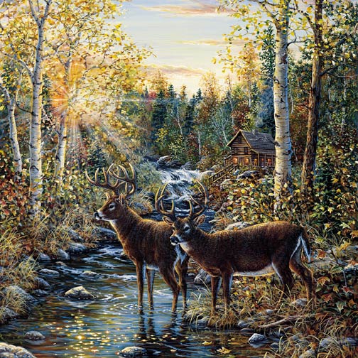 252-72024 Wild Deer Wall Mural 1
