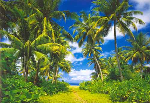 273 Island in the Sun Wall Mural