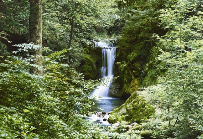 279 Waterfall in Spring Wall Mural 1