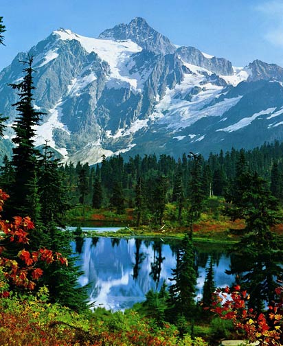 307 Mountain Peak Wall Mural
