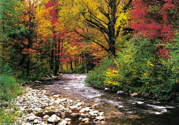 3942 New Hampshire Wall Mural