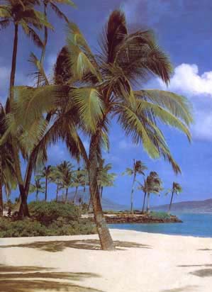 4-038 Hawaii Mural Wall Mural
