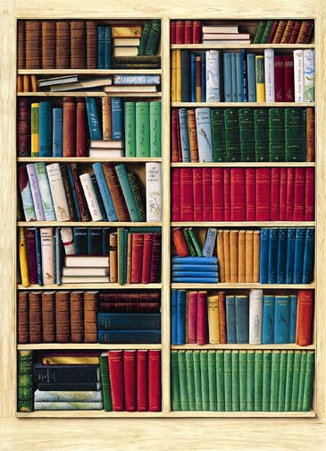 401 Bibliotheque Wall Mural