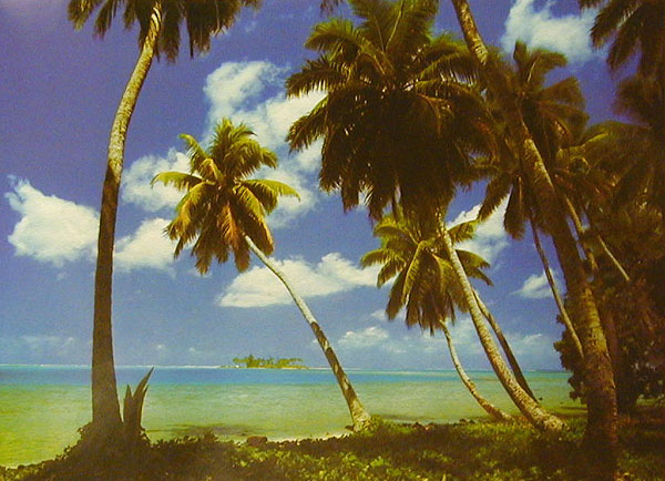 4036 Tahiti Wall Mural 1