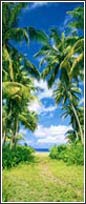 502 Beach Path Door Mural
