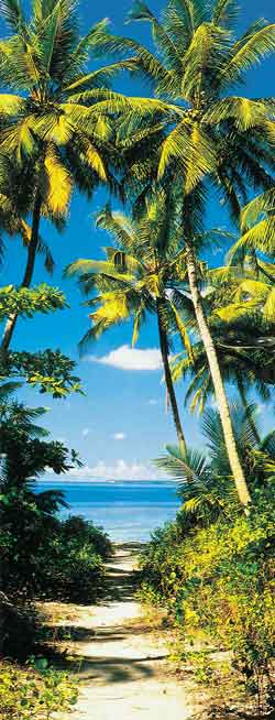5062 Beach Path Door Mural 2