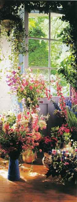 5064 Sweet Peas Door Mural