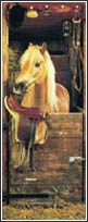 5068 Pony Time Door Mural