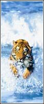 590 Bengal Tiger Door Mural