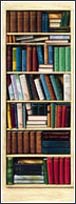 601 Bibliotheque Door Mural