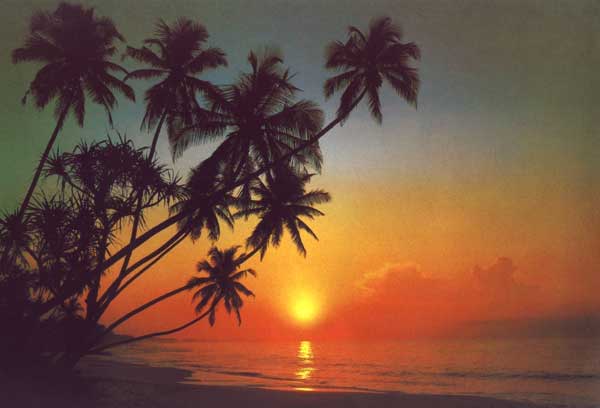 8-030 Sunset Wall Mural