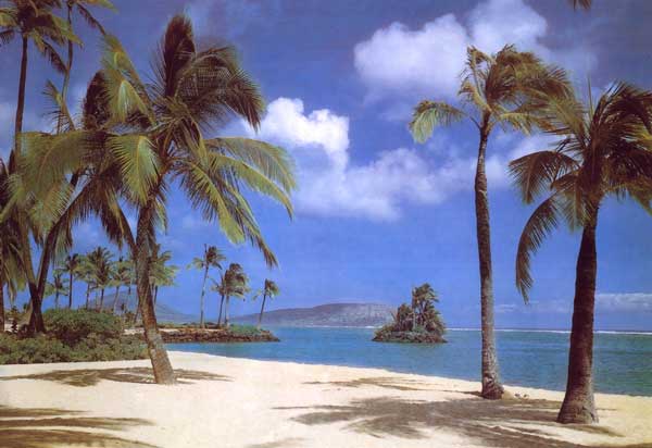 8-038 Hawaii Beach Wall Mural