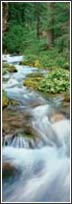 AK1214 Woodland Stream Door Mural