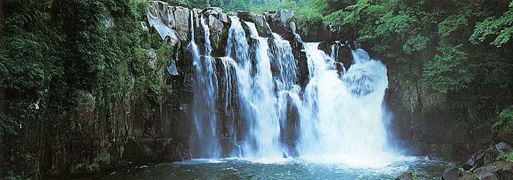 AK1417 Tropical Falls Wall Mural 4
