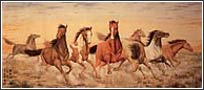 AK1451 Wild Horses Wall Mural 1