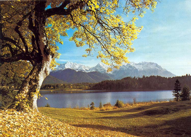 AK1824 Forest Lake Wall Mural 1