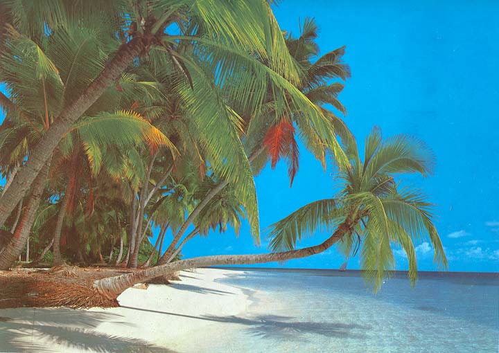 AK1834 Bahama Beach Wall Mural 1