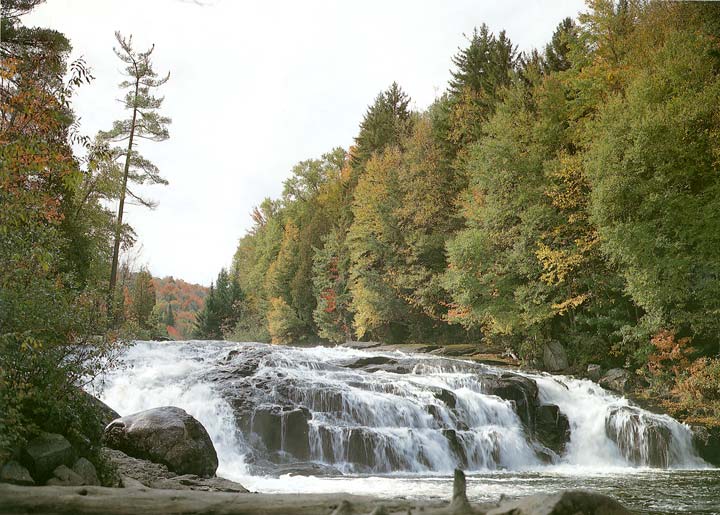 AK1841 Petite Falls Wall Mural