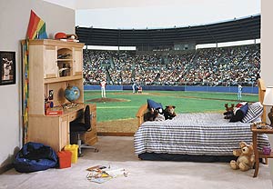 C812 Play Ball Wall Mural