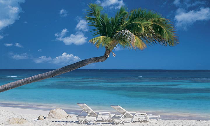 C831 Ocean Breeze Wall Mural