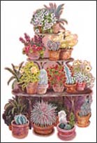 HA70241 Cactus Stand Accent Mural