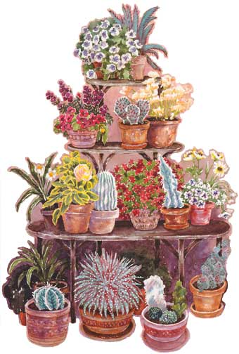 HA70241 Cactus Stand Accent Mural