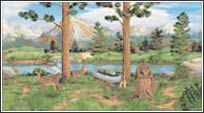 KA5814910WOODS In The Woods Mural