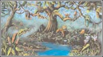 KA5815010RAIN Tropical Rainforest Mural