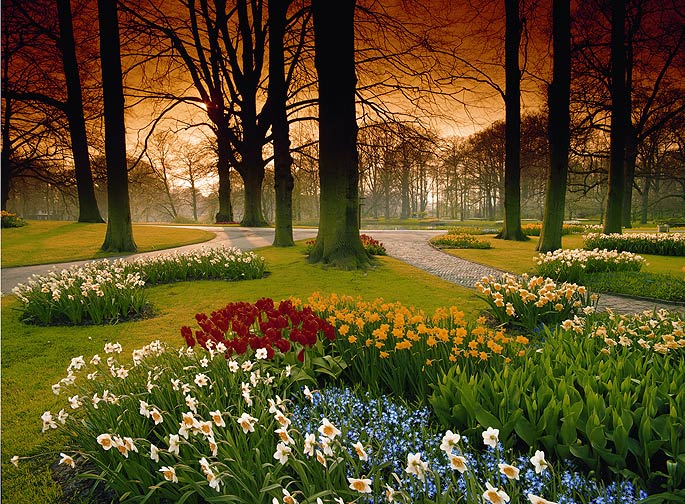 PR1857 Floral Sunset Wall Mural 3