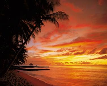 PR98097 Tobago Sunset Wall Mural