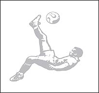 BUSS1908 Sudden Shadows FLIP KICK Wall Decal