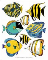 IS3045 Tropical Fish Tile Decals