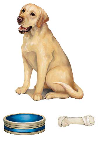 WA13418 Yellow Lab Wallies WallPaper Mural
