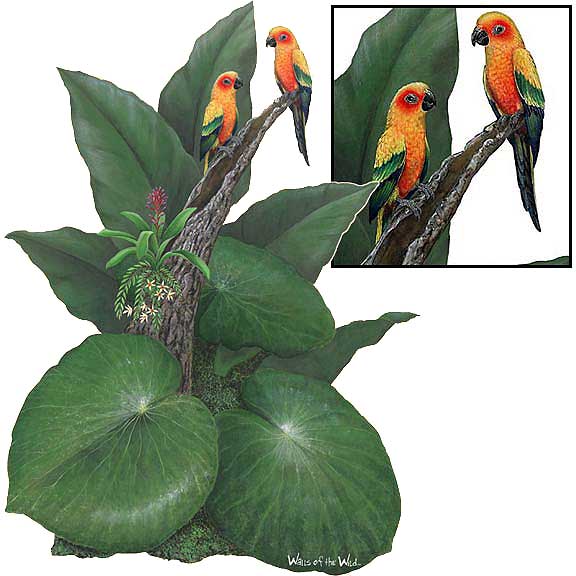 WTW320 Parrots Wall Decal