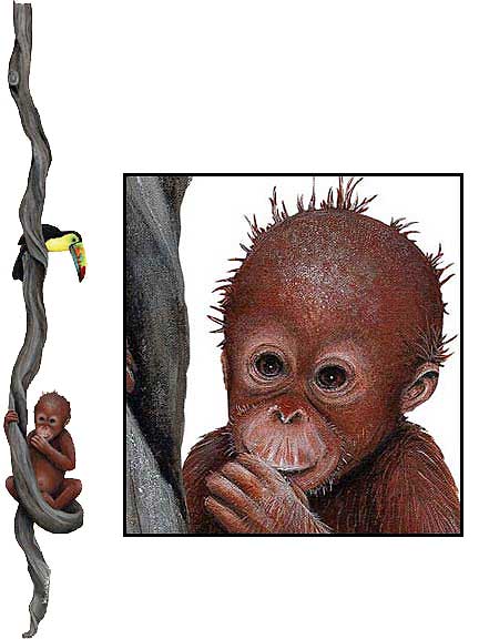 WTW350 Orangutan & Toucan Wall Decal